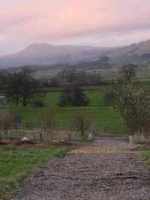 Brocklands Woodland Burial, Yorkshire